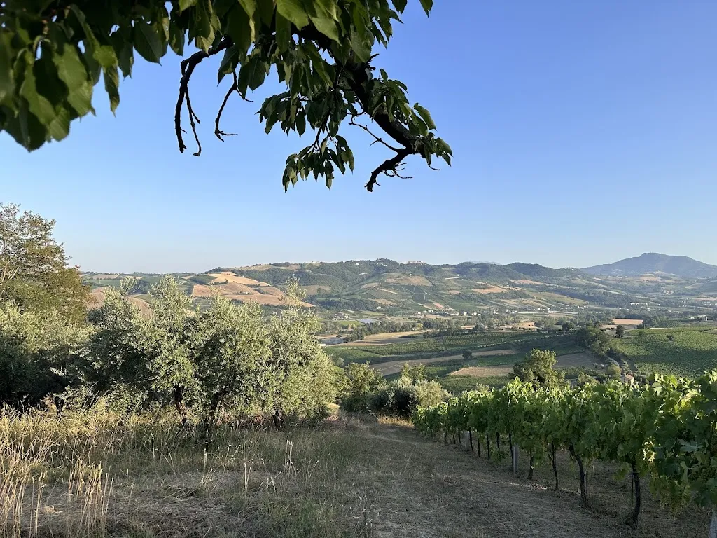 Angela Janssen_Agriturismo Locanda Scendoni Per Sempre_Ortezzano_review