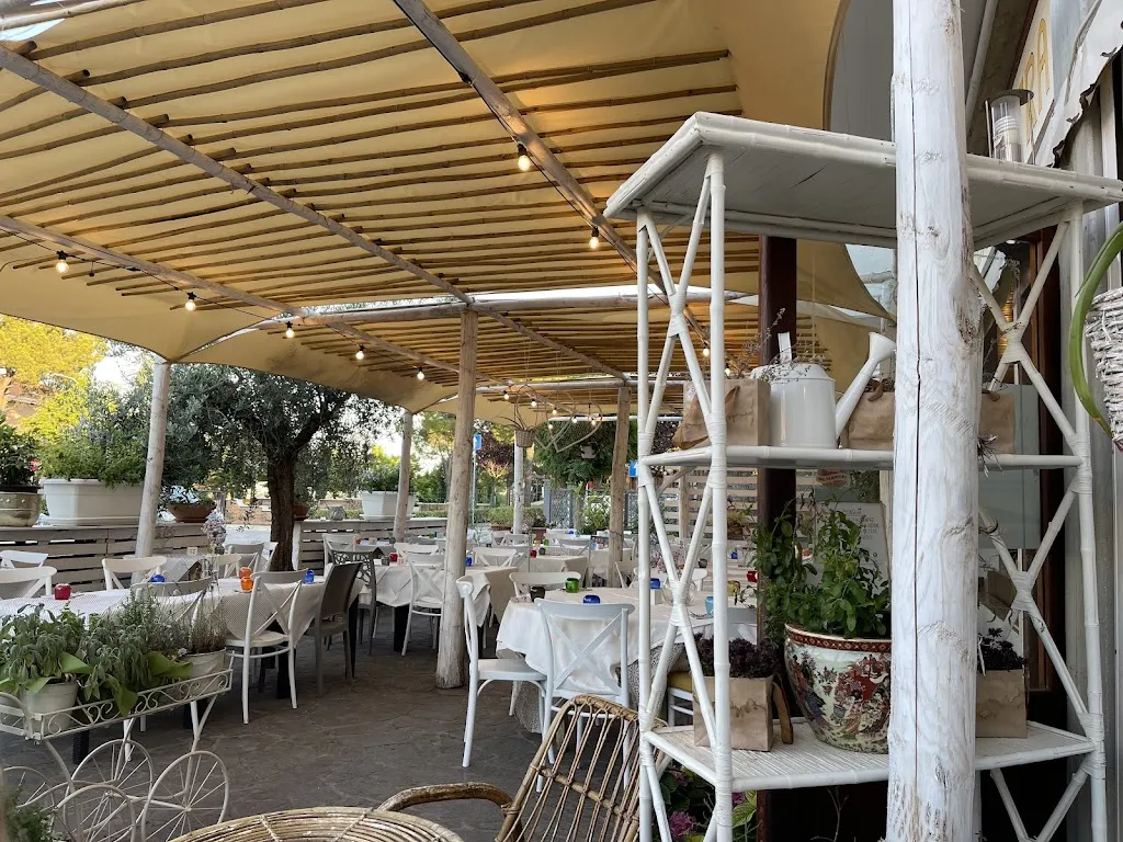 Pieter van der Werf_Ristorate Pizzeria La Mattra_Offida_review