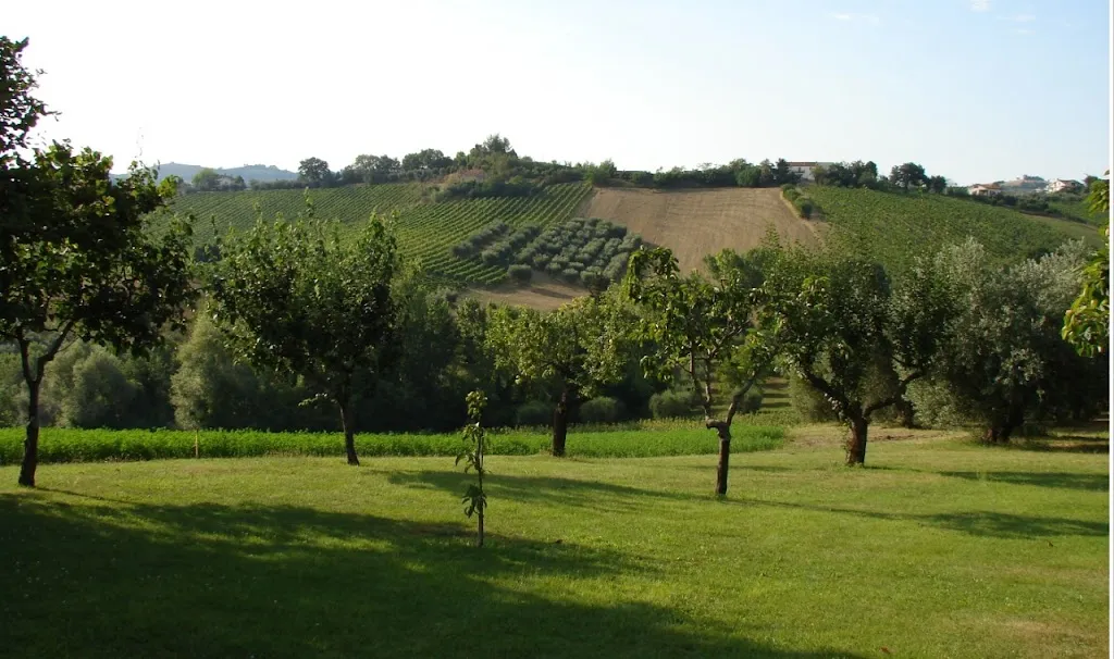 Villa San Lazzaro - Eventi_Offida_slider_image_3