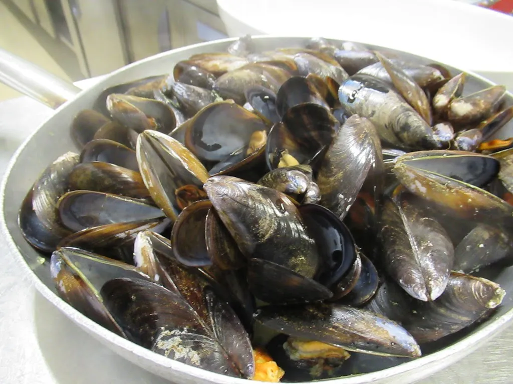 Menu_Ristorante Serpente Aureo_Offida_image_7