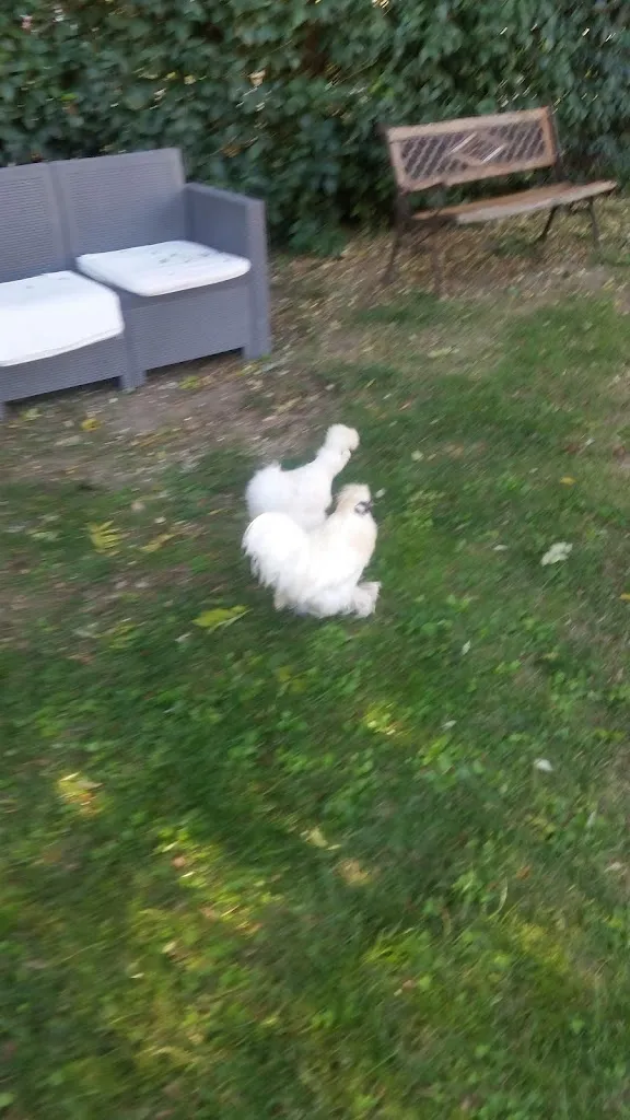 Agriturismo I Due Mori_Passo di Treia_slider_image_2