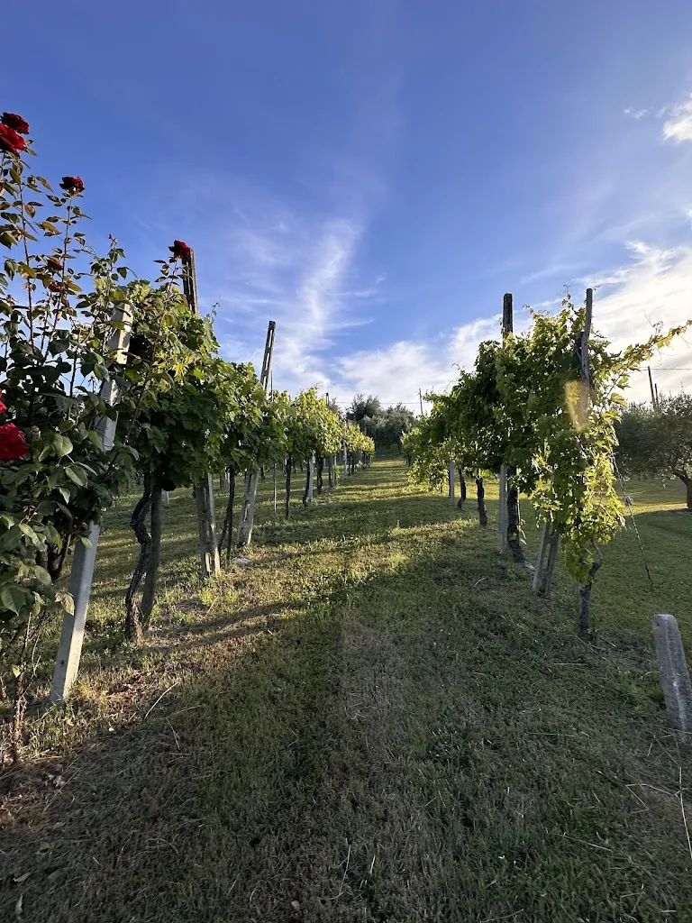 Malin Sommerseth_Agriturismo Tre Querce | Ristorante_Penna San Giovanni_review