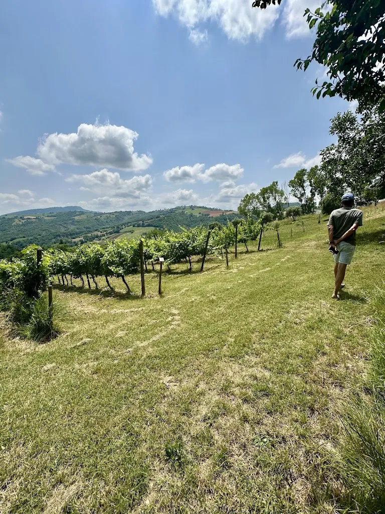 Isolde Pâques_Agriturismo Villa Valente _Penna San Giovanni_review