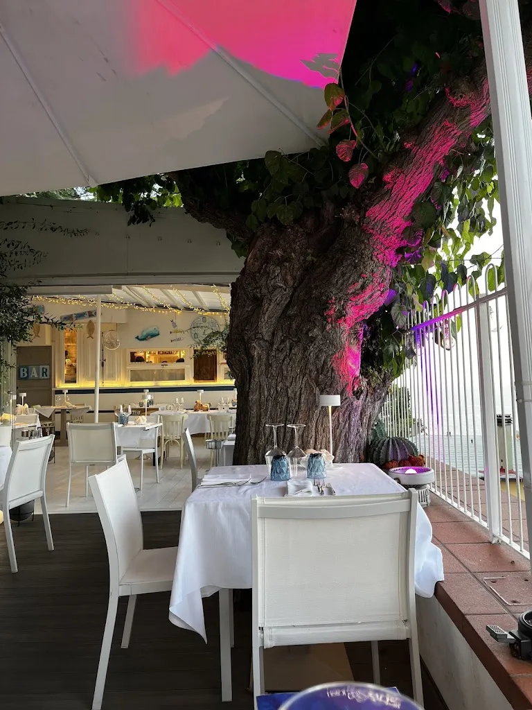 Ristorante Della Rosa_Numana_slider_image_3