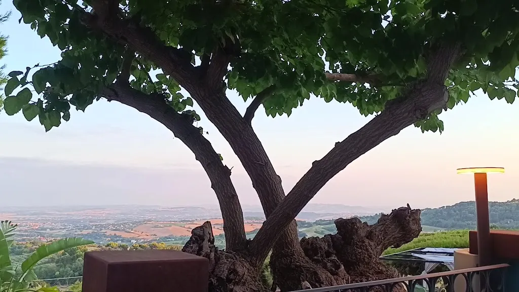 La Ginestra in Fiore | Ristorante & Camere_Numana_slider_image_2