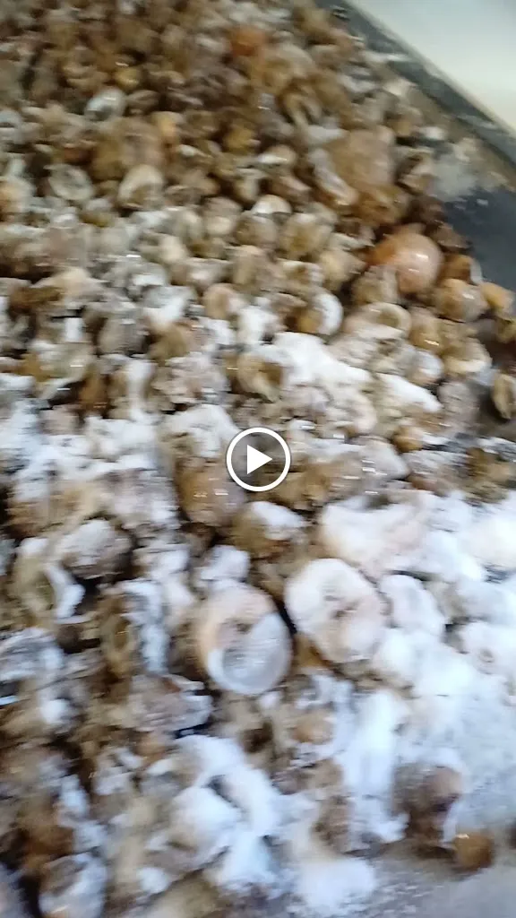 Ristorante da Vincenzo | Numana_Numana_slider_image_2