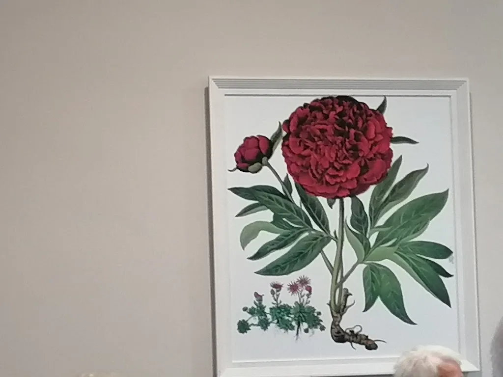 Francesco Scarano_Grillaio Di Passo Pizzeria Ristorante tipico per eventi_Cassano delle Murge_review