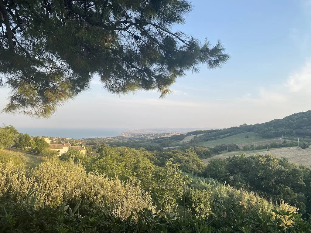 Viola Treffers_Bar Trattoria Rosso Conero_Numana_review