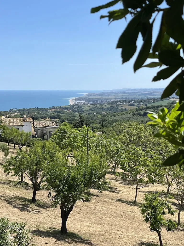 Pamela Gasparini_Bar Trattoria Rosso Conero_Numana_review