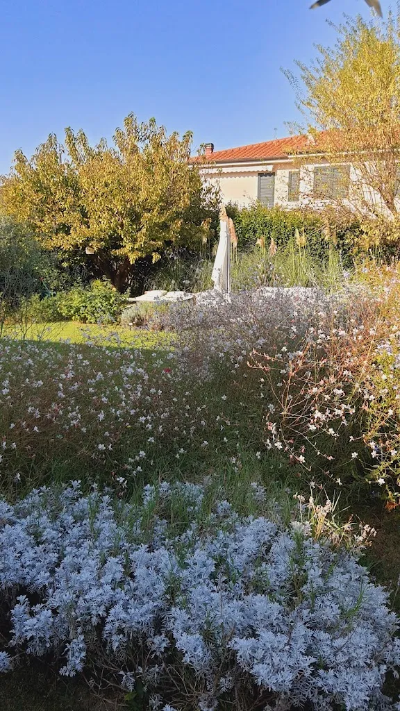 Valentina Zuppiroli_Aura Relais | B&B di charme e Home Restaurant a Numana_Numana_review