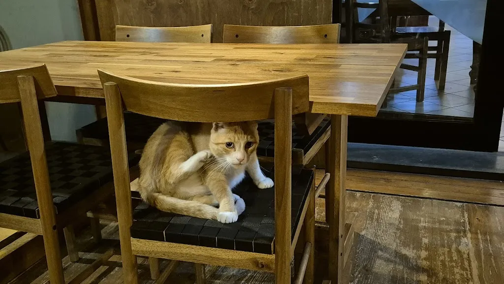 morberte _Oste Allegro_Pianello_review