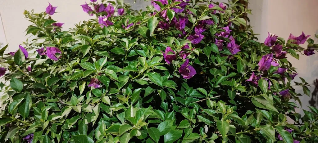 Alice Paganelli_Locanda Della Pieve_Pieve Torina_review