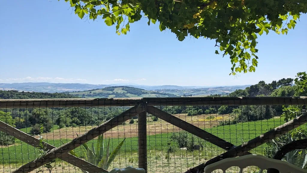 MRT Work_Da Gennaro_Pesaro_review