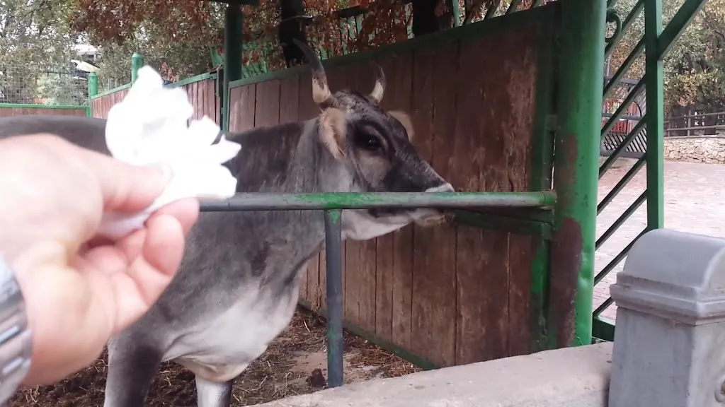 Agriturismo Fasano_Cassano delle Murge_slider_image_2