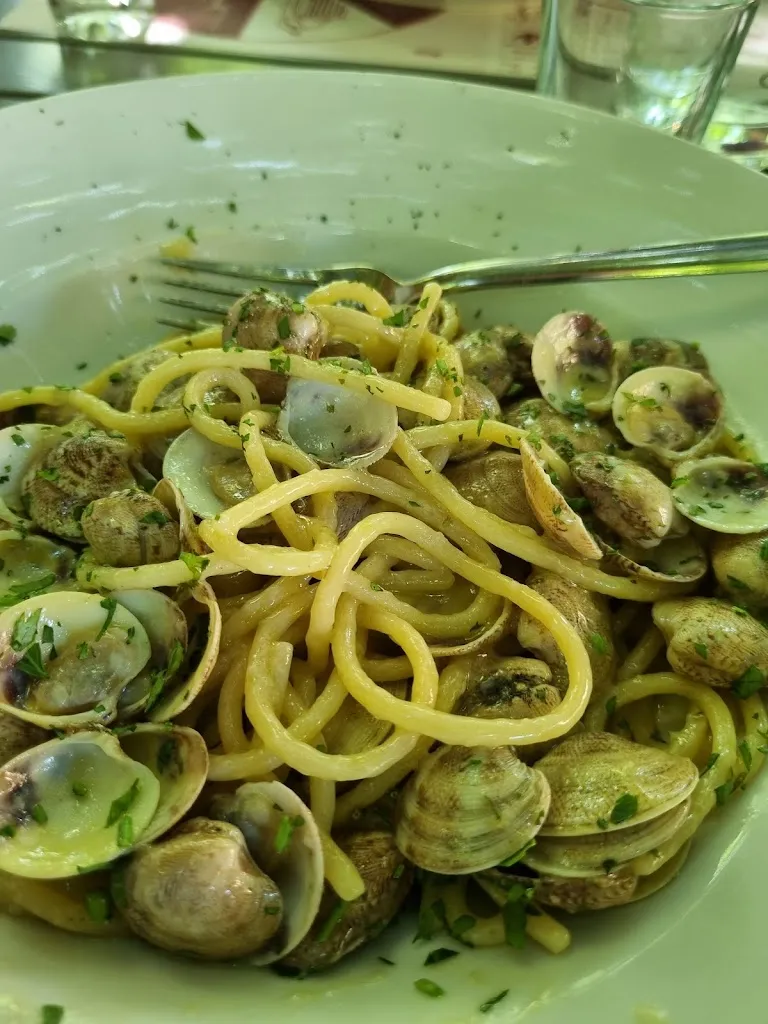 M._Palìs_Pesaro_recensione