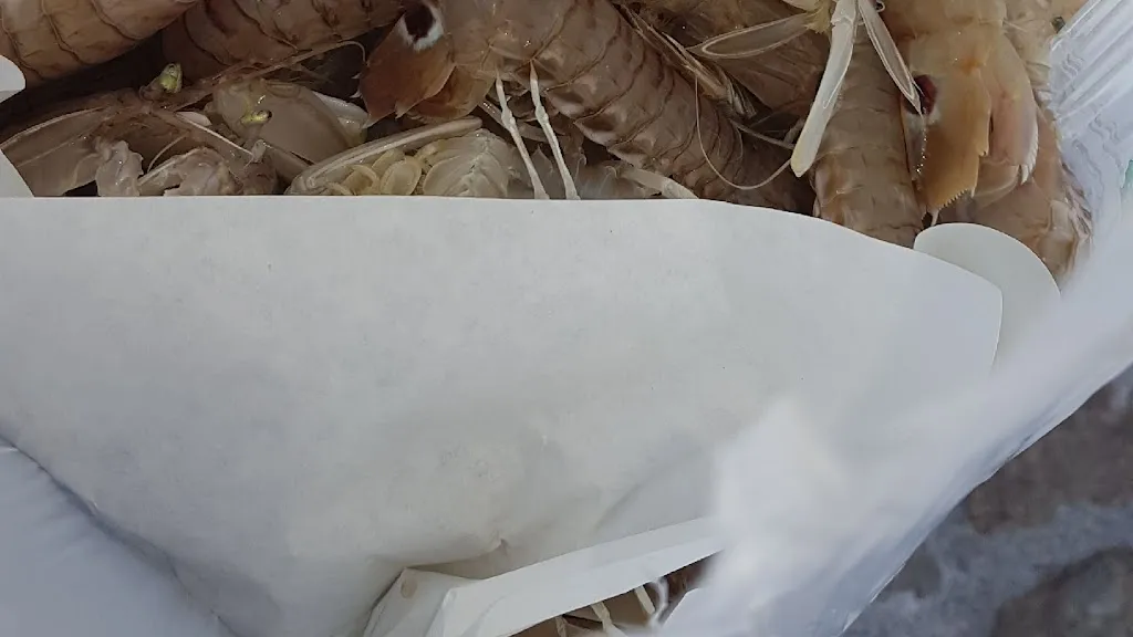 Palìs_Pesaro_slider_image_3