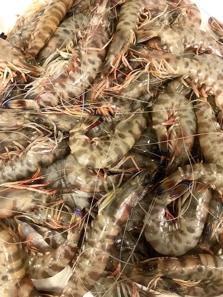 La Vela_Pesaro_slider_image_3