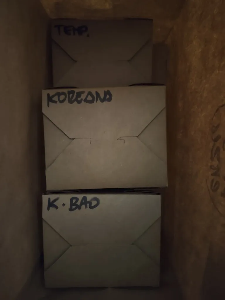 Andrea Signoretti_Enzu Pesaro_Pesaro_review