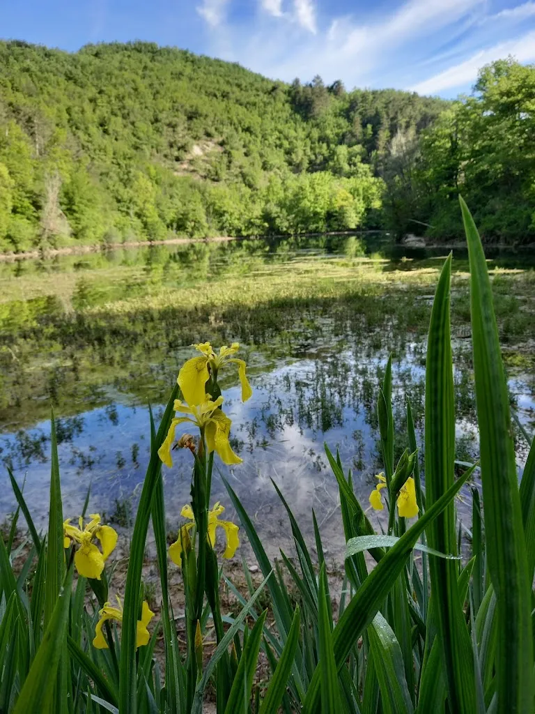 Bar 7.1 di Morichetti Luigi_Pievebovigliana_slider_image_3