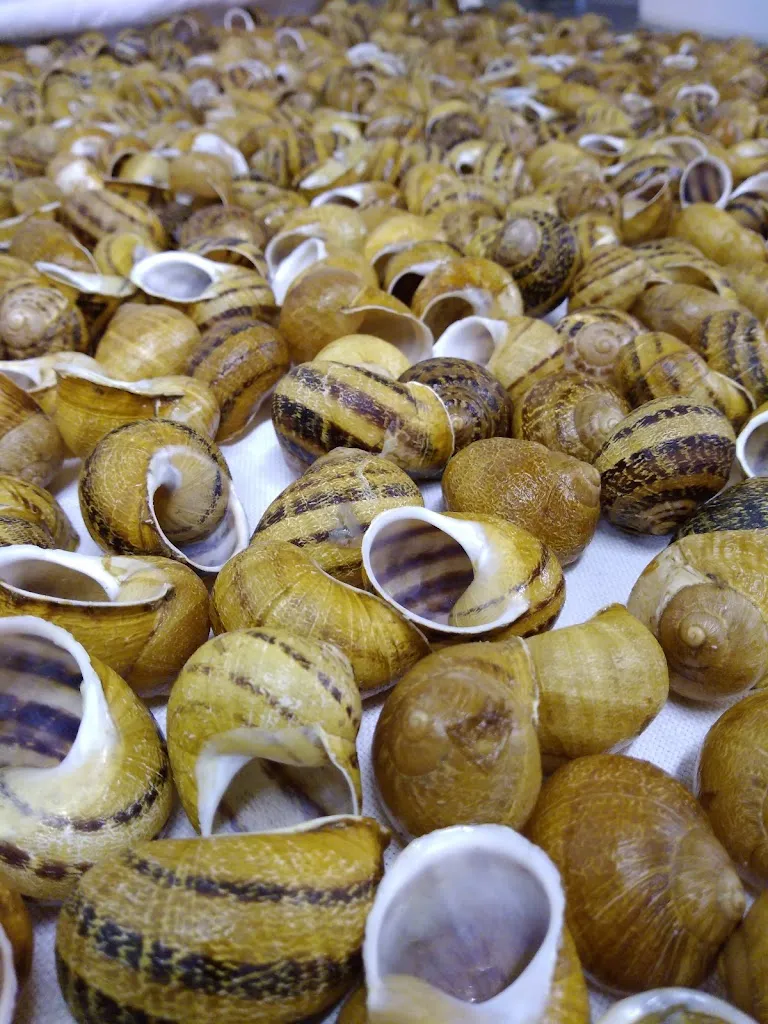 Menu_Locanda Valpietro_Piobbico_image_7