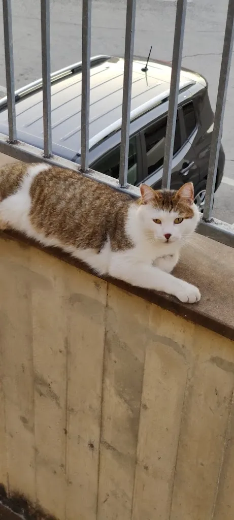 Ai Cinque Colli_Pollenza_slider_image_2