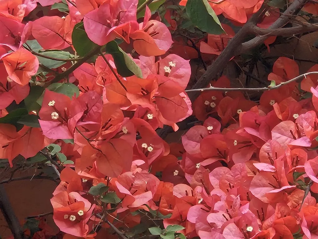 Mario Ambrosini_Villa Nappi_Polverigi_recensione