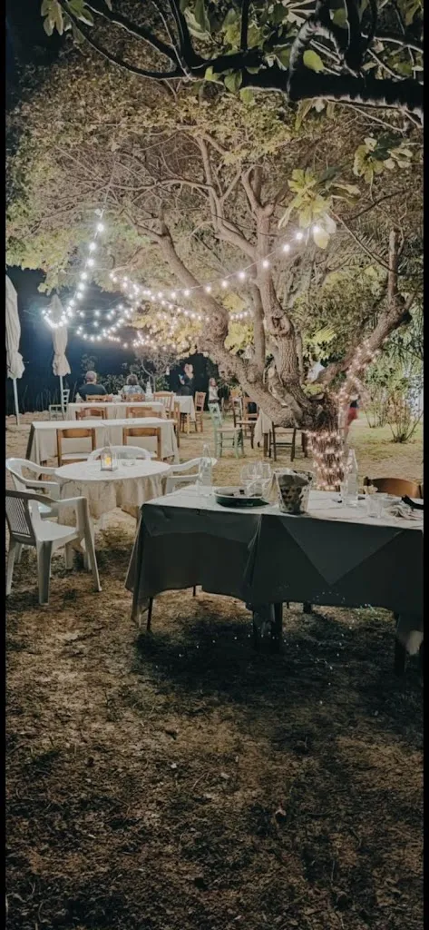 Il Monte pizzeria braceria restaurant in Rapagnano