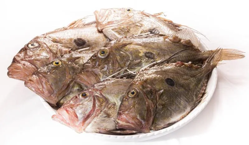 Ristorante La Rotonda_Porto Sant'Elpidio_slider_image_3