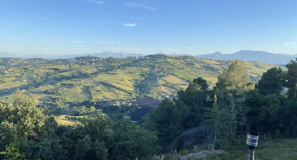 swamy Secchiaroli_Agriturismo La Contrada_Ripatransone_review