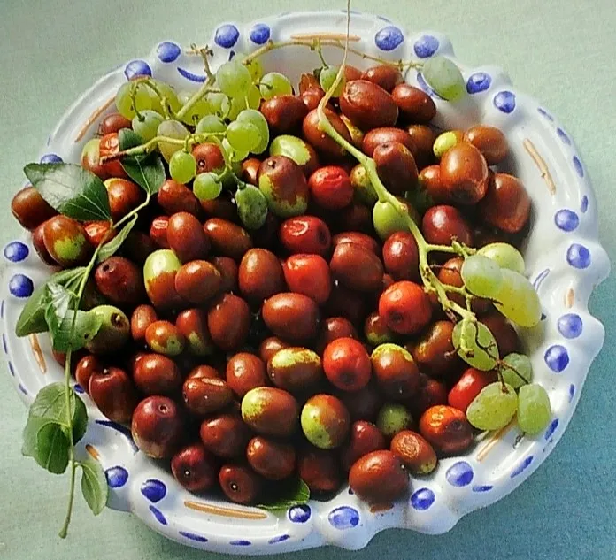 Menu_Ristorante ROMANO_Ripatransone_image_4