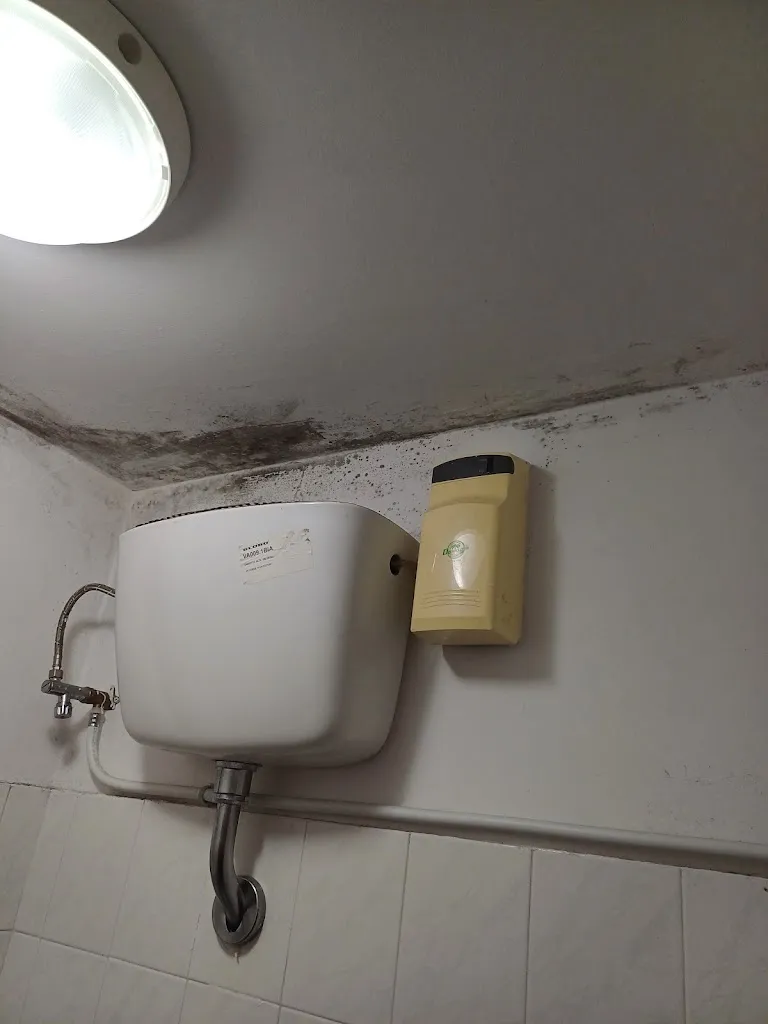 Cecilia Dal Molin_Agriturismo Due Cipressi_Ripatransone_review