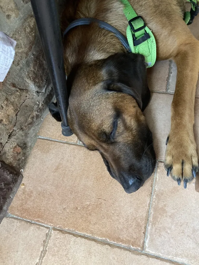 v mair_La Grotta di Tufo_San Costanzo_review