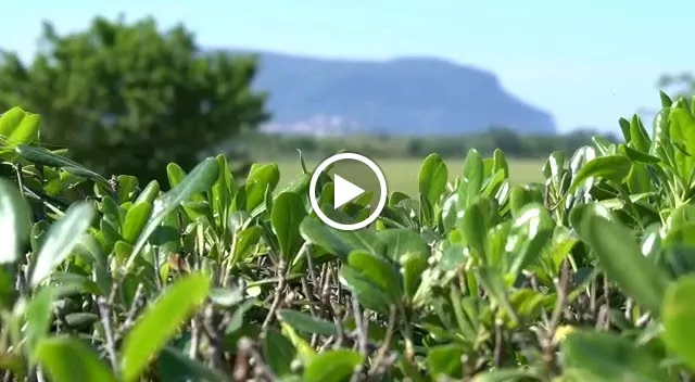 Mira Conero_Porto Recanati_slider_image_2