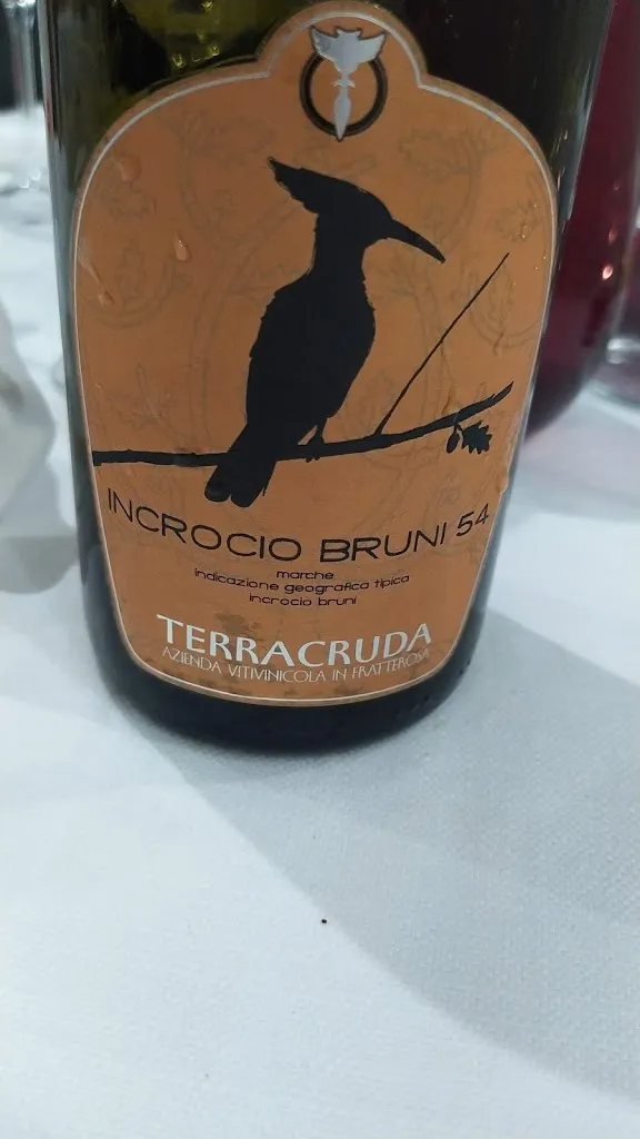 Menu_Ristorante Bebo's_Porto Recanati_image_6