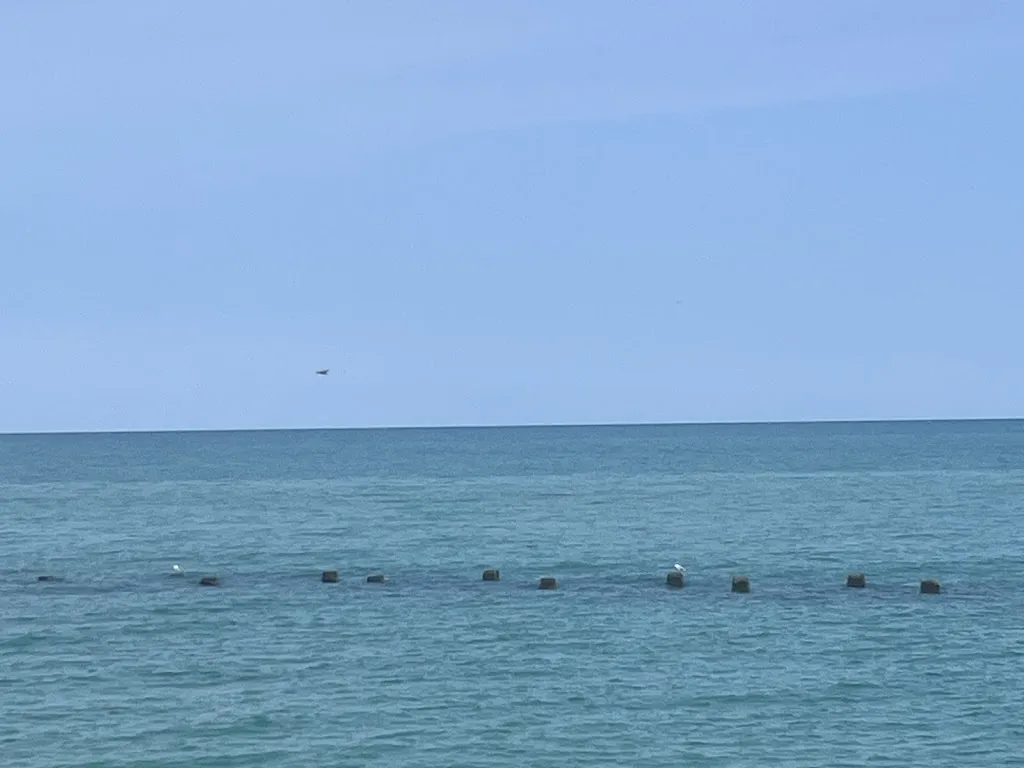 Rachele Perosci_Barracuda Fish Bar_Porto Recanati_recensione