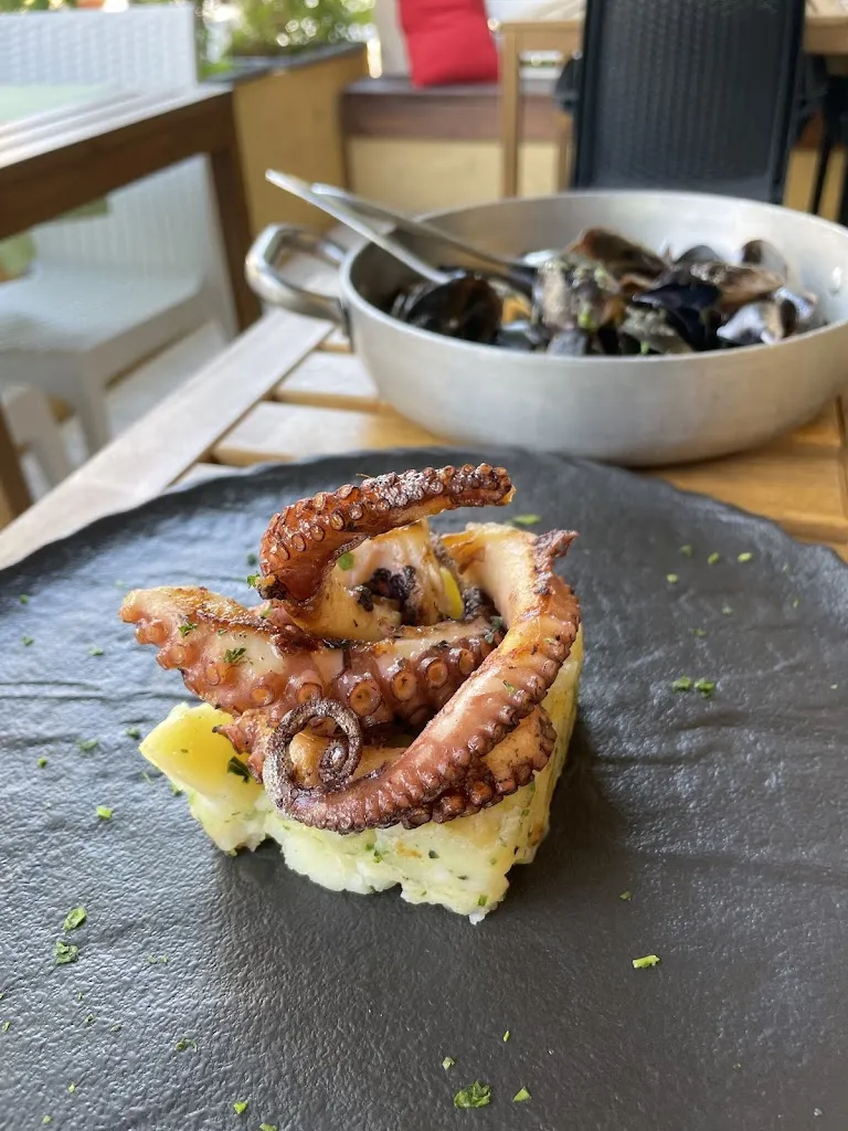 Priyanka Revankar_Levante_Porto Recanati_review