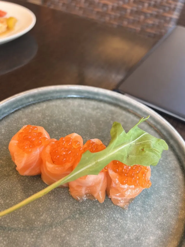 Viktoria Angelova_Nagoya_Porto Recanati_review