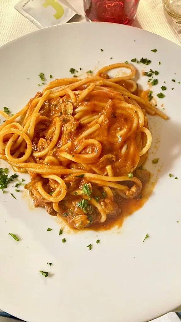 Filippo Merlini Cantatore_Balneare Attilio_Porto Recanati_recensione