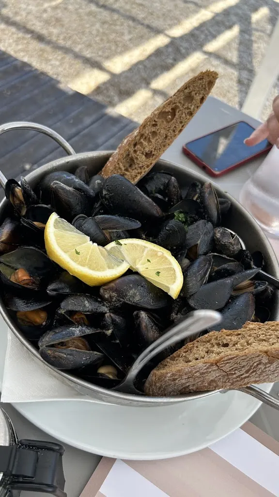 Francesco Fatigati_Balneare Attilio_Porto Recanati_recensione