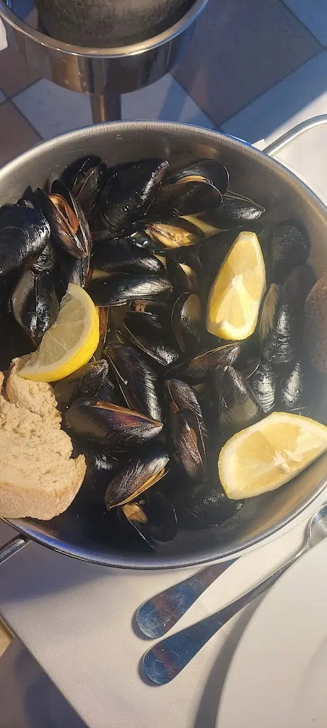 Vincenzo Trotta_Balneare Attilio_Porto Recanati_recensione