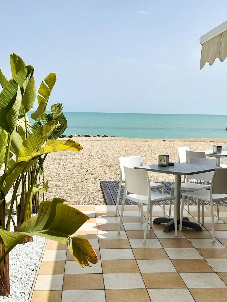 Balneare Attilio restaurant in Porto Recanati