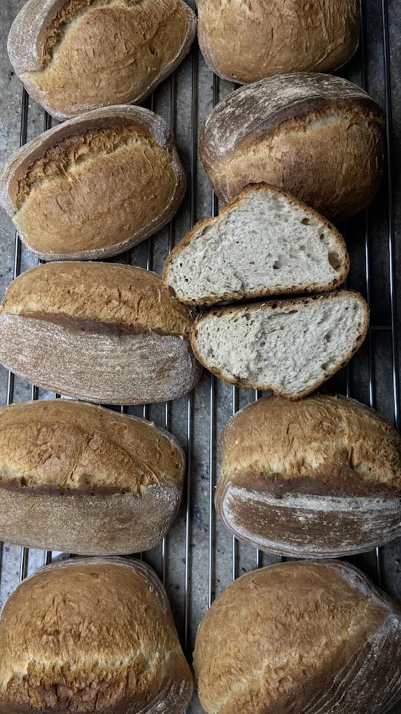 Menu_La Ruota del Gusto_San Lorenzo in Campo_image_5