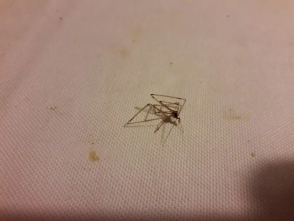 walter Bertuccioli_The Villa Farmhouse_Sant'Angelo in Lizzola_review