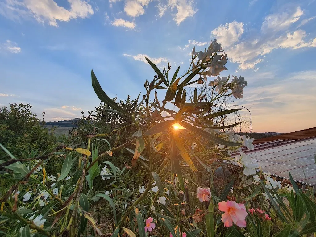 Agriturismo La Quercia_San Vittoria in Matenano_slider_image_2