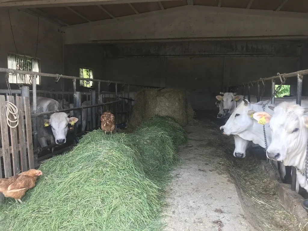 LARA Gentilucci_Ca Icardo_Sant'Angelo in Vado_review