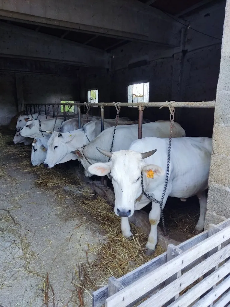 Ca Icardo_Sant'Angelo in Vado_slider_image_3