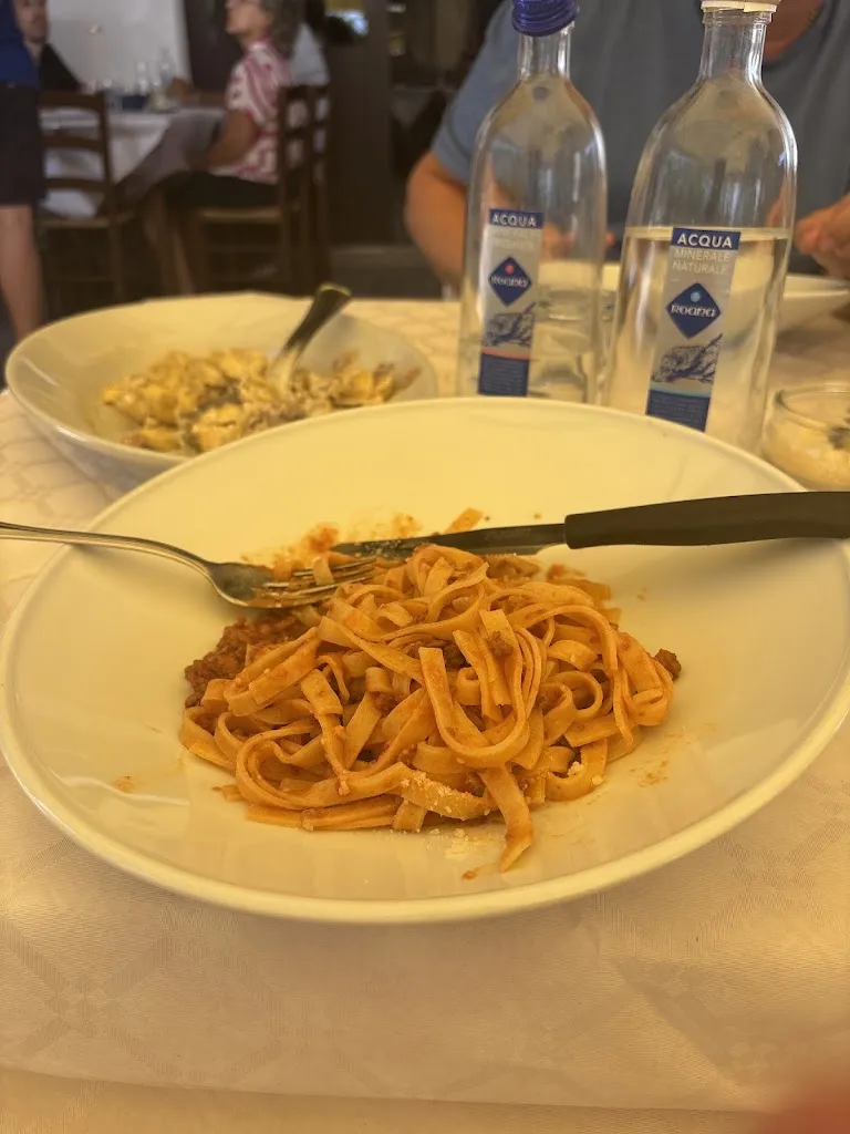 Misha Faynitsky_Santa Maria_Santa Maria Apparente_review