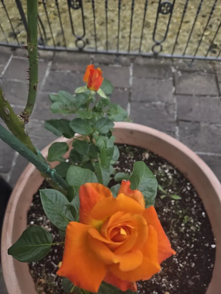 GIULIA COMPAGNUCCI_Hotel Ristorante Da Faustina | Sefro_Sefro_review