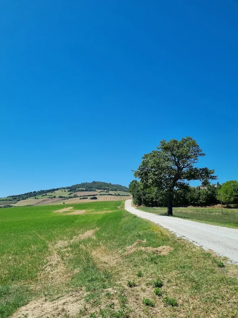 martina fermani_Agriturismo 