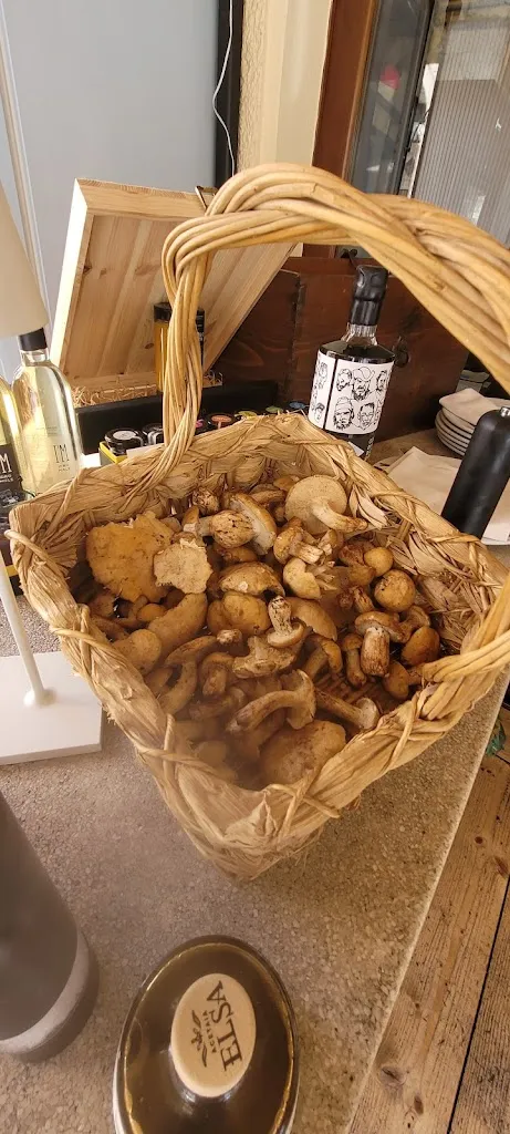 Remon Blokhuis_Restaurant La Taverna di Bartolo_Sassoferrato_review